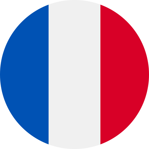 icon france